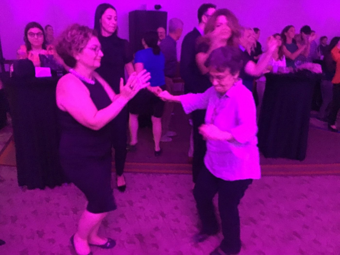 IMG 9256 scaled